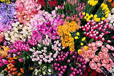 国游《海沙风云》海外版主机版开启众筹 顺利获得支持