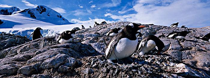 代号“断电协议”的《Section 13》即将发布Xbox试玩版